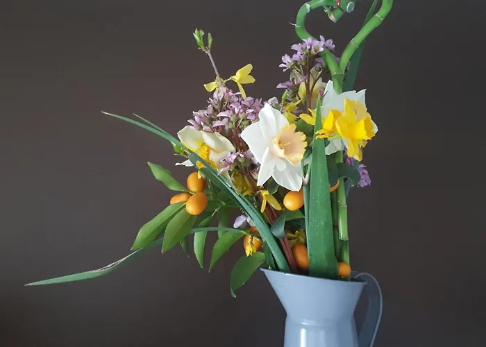 Mugeba Club Apartament