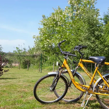 Mugeba Club * Πόρετς