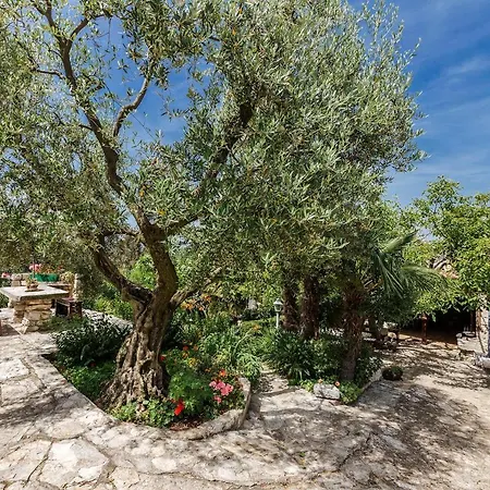 Διαμέρισμα Mugeba Club