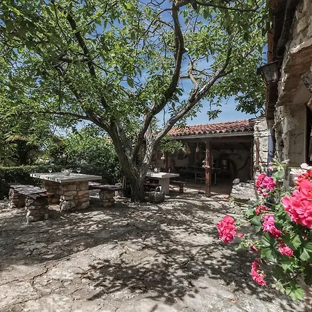 Mugeba Club * 波雷奇